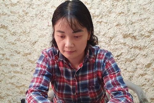 Bắt tạm giam người phụ nữ lừa 'chạy việc' chiếm đoạt hàng trăm triệu đồng