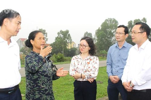 Đoàn đại biểu Quốc hội tỉnh và Thường trực HĐND tỉnh làm việc với thị xã Hoàng Mai