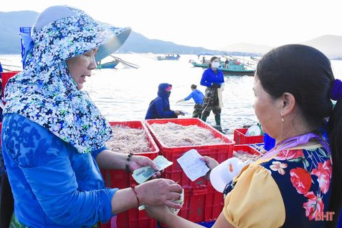 Hải sản đầu mùa du lịch tăng giá, ngư dân Hà Tĩnh phấn khởi vươn khơi