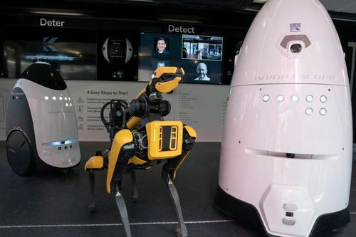 Mỹ thử nghiệm chó robot chống tội phạm tại thành phố New York