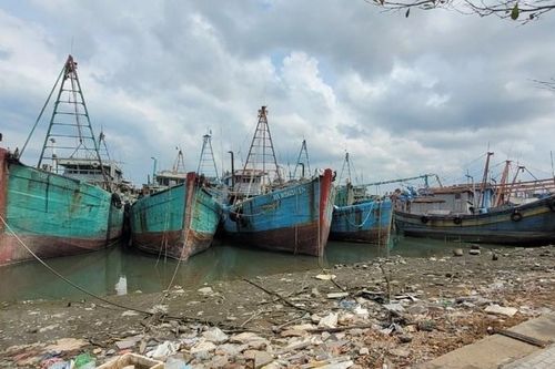 Đánh bắt thua lỗ nhiều ngư dân ở Bà Rịa-Vũng Tàu rao bán tàu