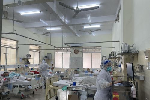TP Hồ Chí Minh: Số ca mắc COVID-19 tăng nhẹ, đã xuất hiện biến thể phụ XBB.1.5