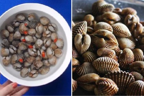 Cách hấp sò huyết ngon dễ làm