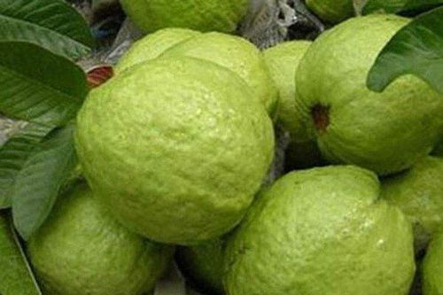 5 loại quả giàu canxi hơn sữa bà bầu nên ăn thường xuyên