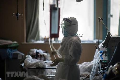 Các nhà khoa học dự báo đại dịch tương tự COVID-19 trong vòng 10 năm tới