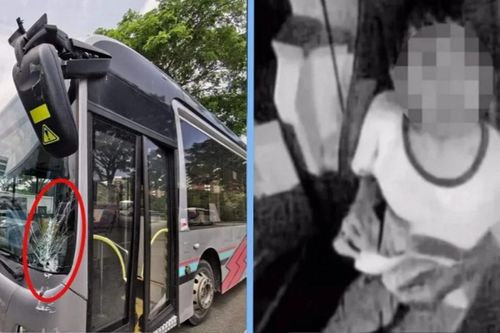 Bé trai 12 tuổi ăn trộm xe buýt, tự lái đi chơi suốt 5 tiếng đồng hồ, bất ngờ thái độ lúc bị bắt