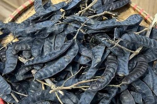 Cách ủ nước bồ kết gội đầu, giúp tóc con mọc tua tủa sau 2 tháng