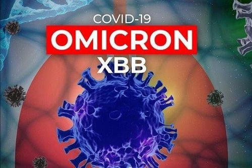 Đã xuất hiện biến thể XBB.1.5 tại TP.HCM
