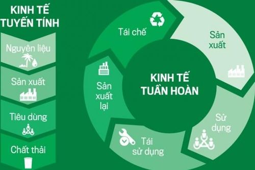 Phát triển kinh tế tuần hoàn giúp xanh hóa doanh nghiệp