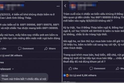 Đồng Tháp thành lập tổ thanh tra đặc biệt kiểm tra vụ 4 biển số xe đẹp