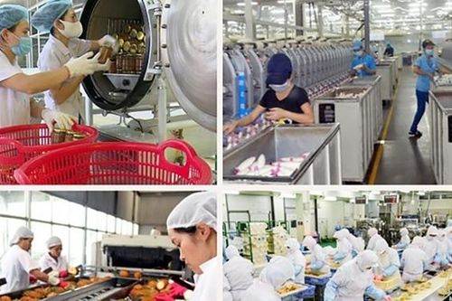 Công nghiệp thực phẩm - tăng trưởng nhanh, tiềm năng lớn