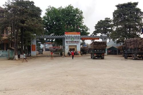 Đâu là sức hấp dẫn khiến cổ phiếu Mía đường Sơn La vượt đỉnh lịch sử