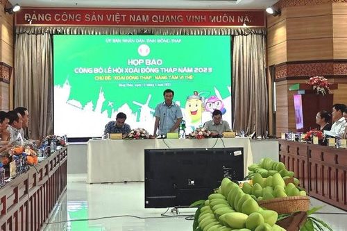 Đồng Tháp: Lần đầu tổ chức lễ hội 'Xoài Đồng Tháp – Nâng tầm vị thế'