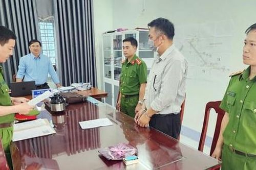 Lừa góp vốn trồng 100 ha sâm Ngọc Linh, 'sếp lớn' chiếm đoạt 4,5 tỷ đồng