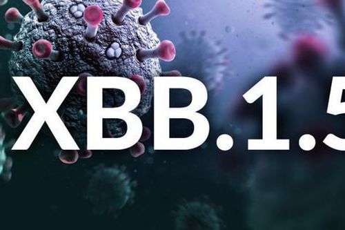 Nghiên cứu về biến thể phụ Omicron XBB/XBB.1.5 và khả năng bảo vệ của vaccine COVID-19
