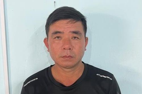 'Ngựa quen đường cũ'