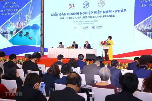 Diễn đàn doanh nghiệp và hội nghị hợp tác địa phương Việt Nam-Pháp