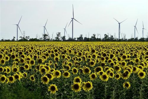 Ukraine bắt đầu nối lại xuất khẩu điện sang các nước láng giềng