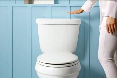 Đi vệ sinh xong nên đóng nắp bồn cầu hay mở? Hóa ra 90% người dân dùng đều sai hết