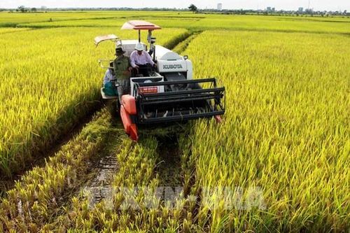 Tập trung đất đai, từ cách làm riêng