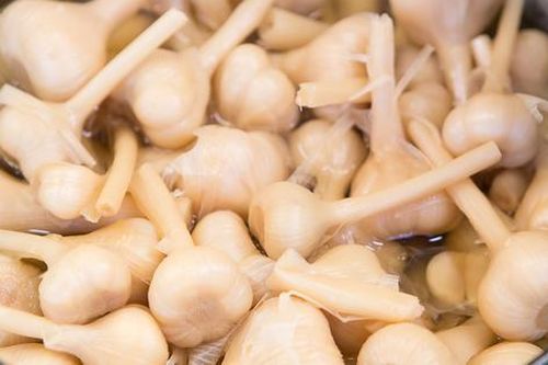 Cách làm tỏi ngâm giấm chua ngọt chống ngán, giúp tăng sức đề kháng