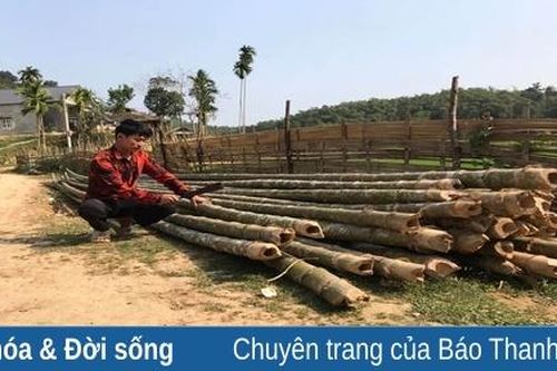 '3 không' ở Xà Luốc