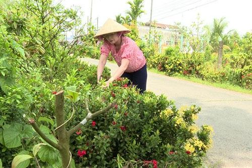 Rực rỡ những tuyến đường hoa