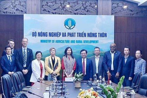 Hệ thống lương thực Việt Nam hướng tới tiếp cận đa mục tiêu
