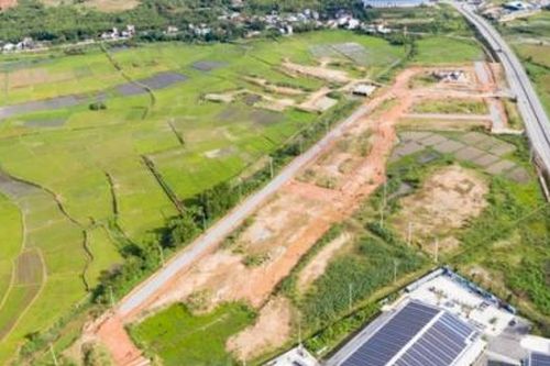 Công ty Phát triển đô thị Quảng Ngãi bị phạt 630 triệu