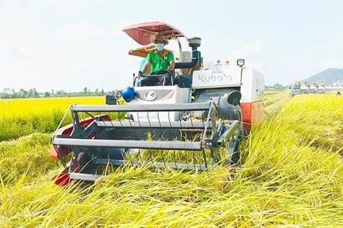 Tiếp sức cho hợp tác xã nông nghiệp