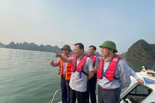 Quảng Ninh: Hoàn thành cưỡng chế, tháo dỡ các lồng bè NTTS trái phép trong tháng 4