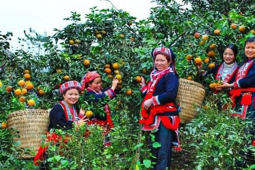 Phát triển sản phẩm du lịch sinh thái gắn với nông nghiệp ở Hà Giang
