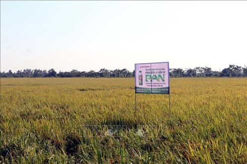Phân bón cho nông nghiệp xanh: Đâu là hướng đi đúng?