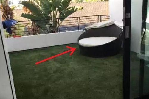 Chi gần 70 triệu để làm ban công cho chó Husky, chủ khóc ròng khi chứng kiến hiện trạng sau đó