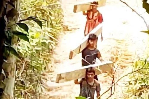 Thừa Thiên Huế: Kỷ luật 5 cán bộ kiểm lâm; triệu tập 8 lâm tặc