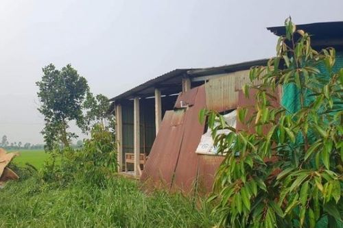 Tiền Giang: Thiệt hại gần 2,6 tỷ đồng do mưa đầu mùa
