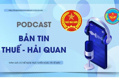 Bản tin Thuế - Hải quan số 3/2023