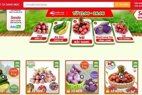 Giúp nông dân tiếp cận thương mại điện tử