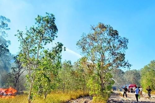 Các tỉnh, thành vùng Tây Nam Bộ chủ động phòng, chống cháy rừng