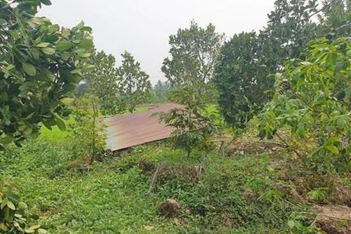 Tiền Giang: Mưa kèm gió giật, 67 căn nhà hư hại nặng