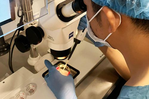 Bước tiến mới trong thụ tinh ống nghiệm: Làm IVF không cần kích buồng trứng