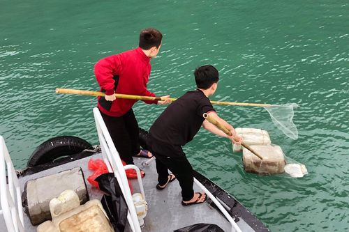 Xấu hổ vì bốn bề rác nổi trên vịnh Hạ Long