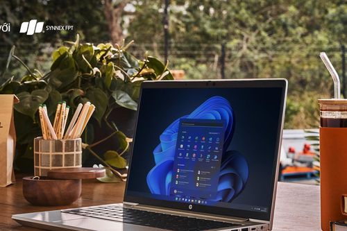Bộ đôi laptop HP gọn nhẹ dành cho dân văn phòng