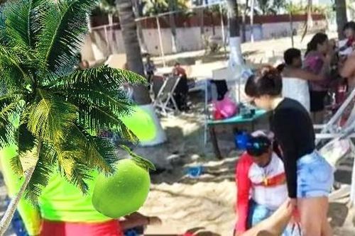 Du khách 'số đen' bị dừa rơi trúng đầu bất tỉnh khi đang ngắm biển
