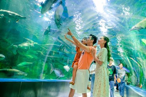Công viên Thiên đường Bảo Sơn công bố chương trình hè 2023
