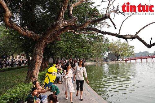 Cận cảnh 3 cây sưa quý chết khô bên hồ Hoàn Kiếm gây nguy hiểm cho người dân
