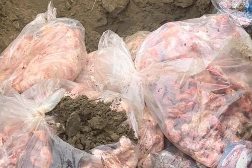 Tiêu hủy 600kg cổ, cánh gà đông lạnh không rõ nguồn gốc xuất xứ