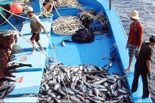 'Điểm sáng' xuất khẩu thủy sản quý I/2023 đến từ thị trường nhỏ