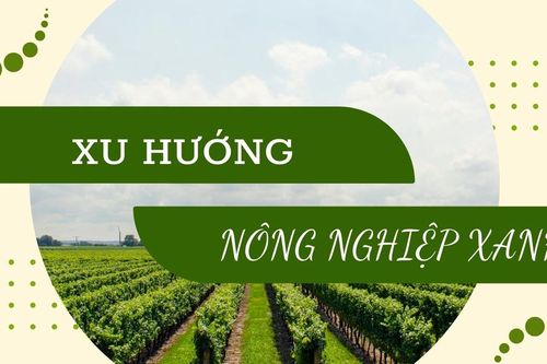 Xu hướng nông nghiệp xanh