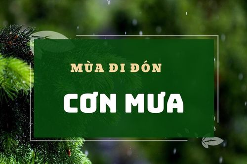 Mùa đi đón cơn mưa